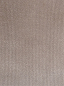 Linden Mauve Velvet Regal Fabric 